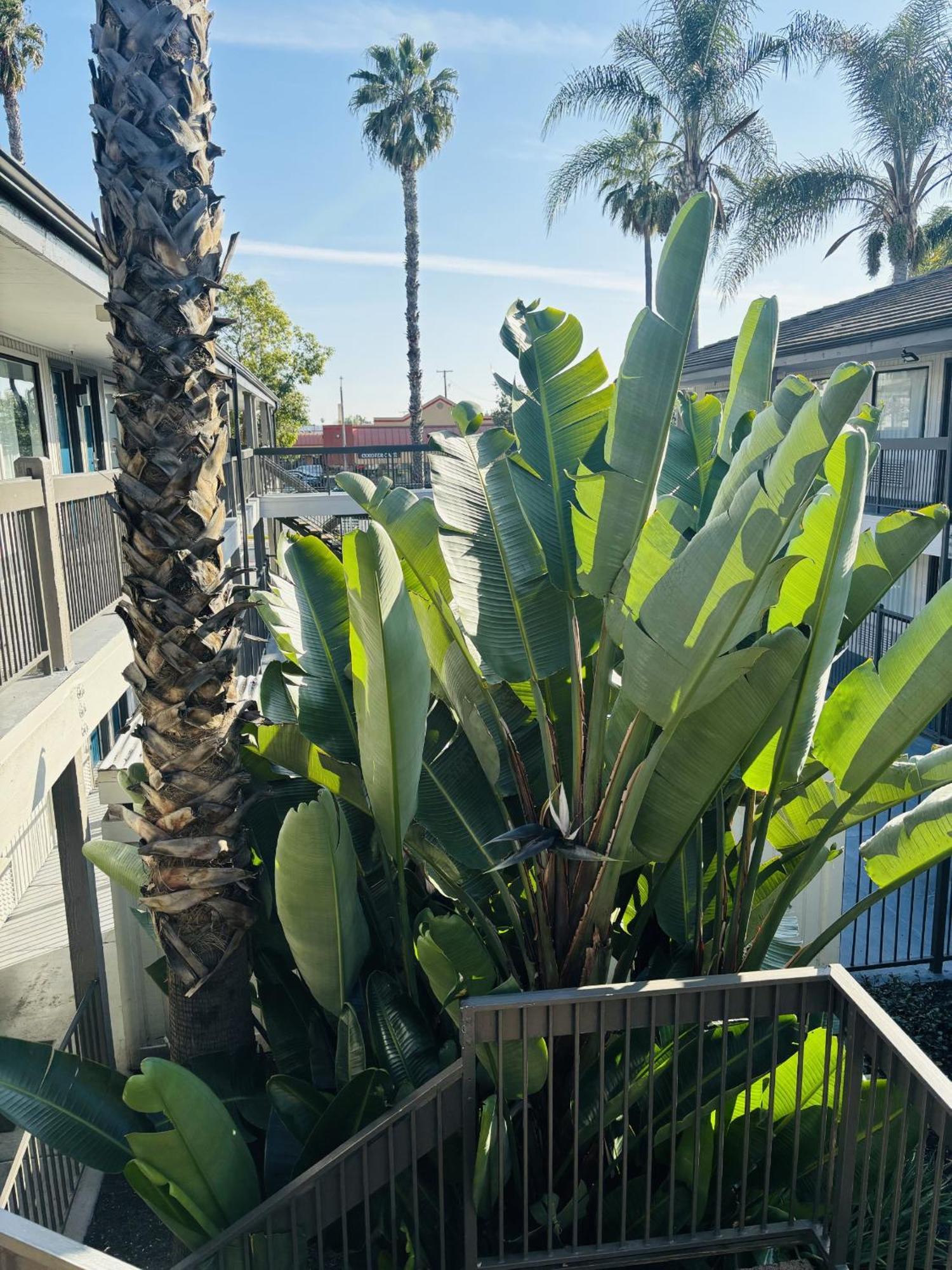 Motel 6-Santa Ana, Ca Extérieur photo